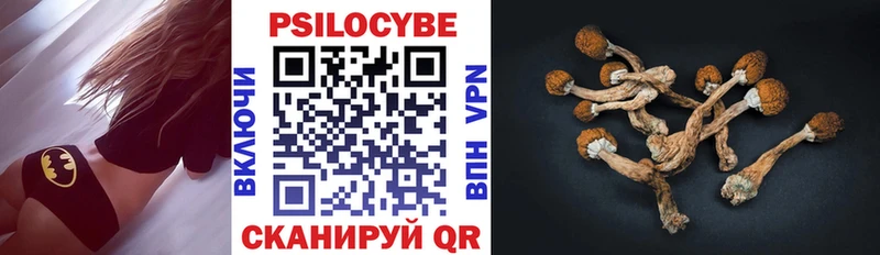 Псилоцибиновые грибы ЛСД  Купить где  Торжок 